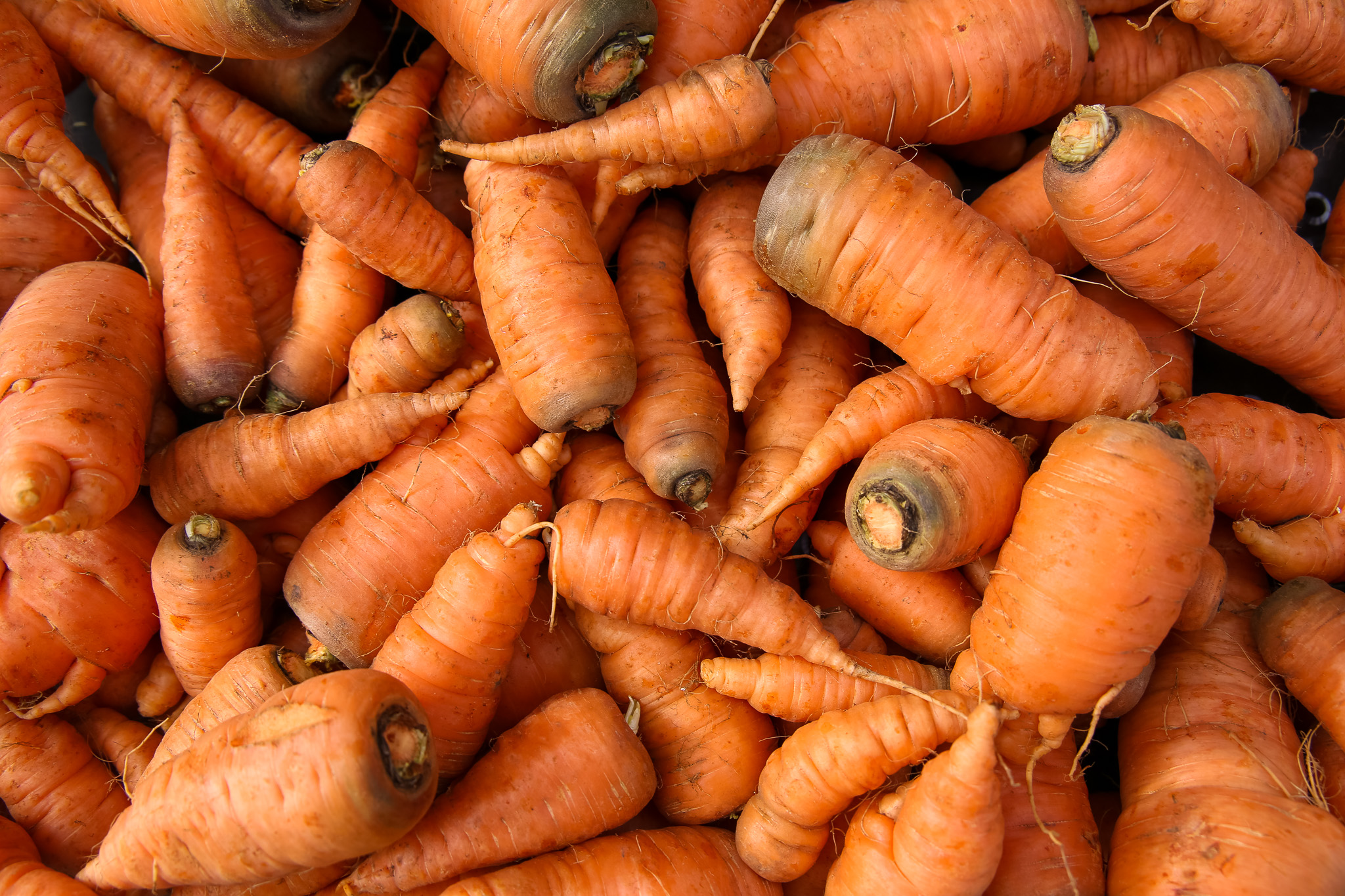 THE GINGER GROUP I Premier Canberra Caterer