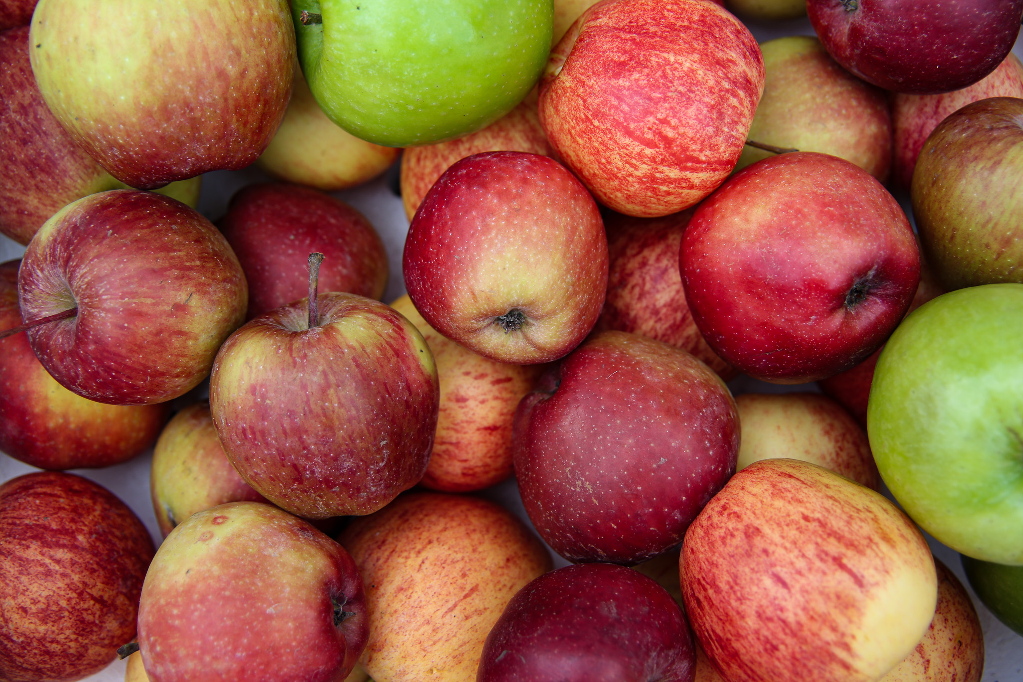 THE GINGER GROUP I Premier Canberra Caterer